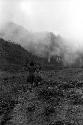 Samuel Putnam negatives, New Guinea; Lokopma taking his pigs up past Alugu's garden into the wam yabu above Homaklep