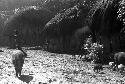 Samuel Putnam negatives, New Guineal; in Abukulmo; child walking in the sili; pig in the frgd