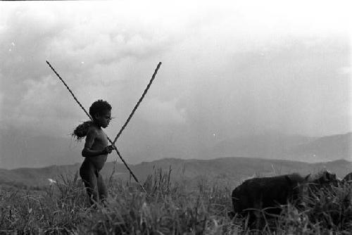 Samuel Putnam negatives, New Guinea; boy herding pigs