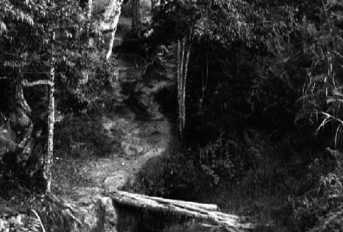 Samuel Putnam negatives, New Guinea