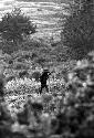 Samuel Putnam negatives, New Guinea; a woman climbing a hill going home