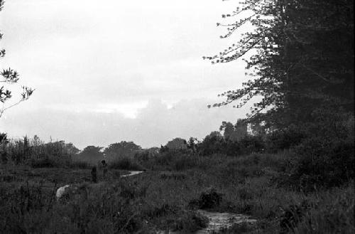 Samuel Putnam negatives, New Guinea; a boy and a man walking in front of Homoak going north