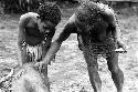 Samuel Putnam negatives, New Guinea; a woman plasters mud on a sore on a pig's back in the sili; little girl helps