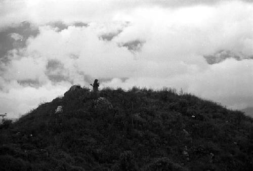 Samuel Putnam negatives, New Guinea; children behind Homaklep watching pigs; clouds behind