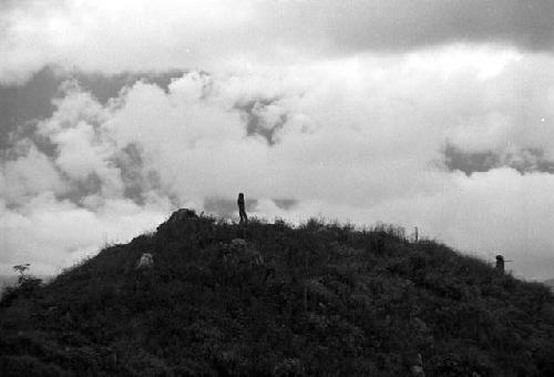 Samuel Putnam negatives, New Guinea; children behind Homaklep watching pigs; clouds behind