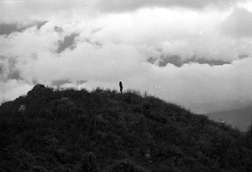 Samuel Putnam negatives, New Guinea; children behind Homaklep watching pigs; clouds behind