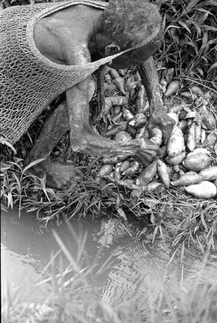 Samuel Putnam negatives, New Guinea; woman washing hiperi