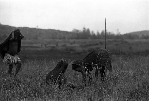 Samuel Putnam negatives, New Guinea; 3 women out in the field