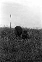 Samuel Putnam negatives, New Guinea; 3 women out in the field