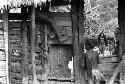 Samuel Putnam negatives, New Guinea; children climbing on the entryway to Wuperainma I; woman in the sili beyond