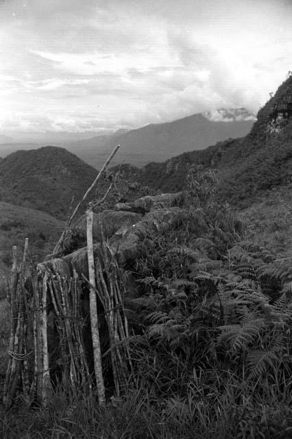 Samuel Putnam negatives, New Guinea; wood leaning against some boulders on the Tukumba