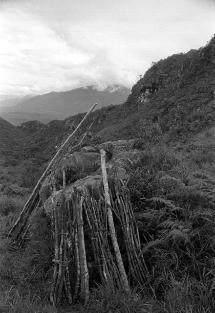 Samuel Putnam negatives, New Guinea; wood leaning against some boulders on the Tukumba