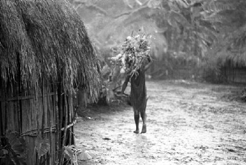Samuel Putnam negatives, New Guinea; woman walking in sili