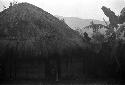 Samuel Putnam negatives, New Guinea