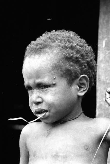 Samuel Putnam negatives, New Guinea;  portrait of Natorek