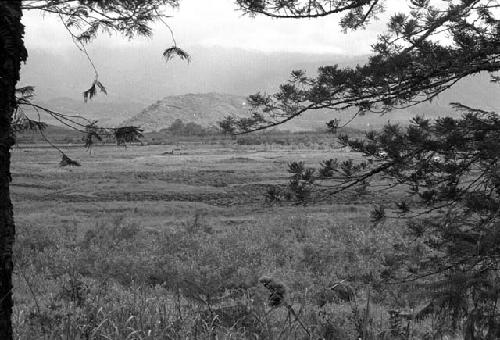 Samuel Putnam negatives, New Guinea