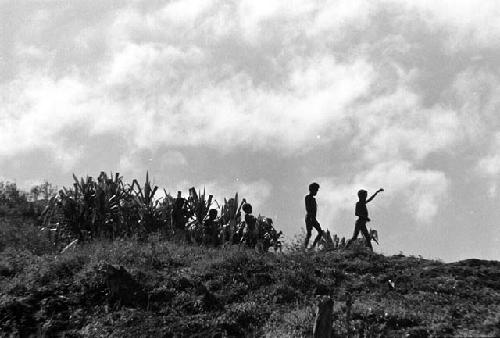 Samuel Putnam negatives, New Guinea;  people walking along a ridge