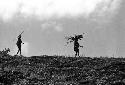 Samuel Putnam negatives, New Guinea; people walking along a ridge; carrying things