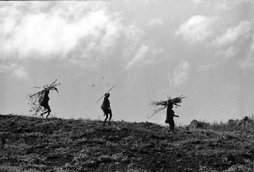 Samuel Putnam negatives, New Guinea; people walking along a ridge; carrying things