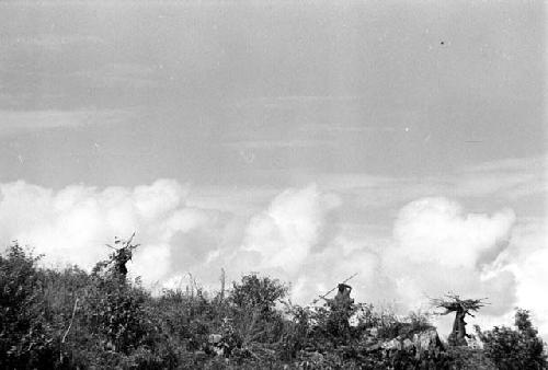 Samuel Putnam negatives, New Guinea; people walking along a ridge; carrying things