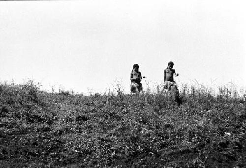 Samuel Putnam negatives, New Guinea; children herding pigs