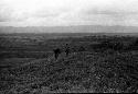 Samuel Putnam negatives, New Guinea