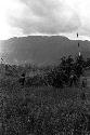 Samuel Putnam negatives, New Guinea; a warrior walking in the grass near the Tokolik