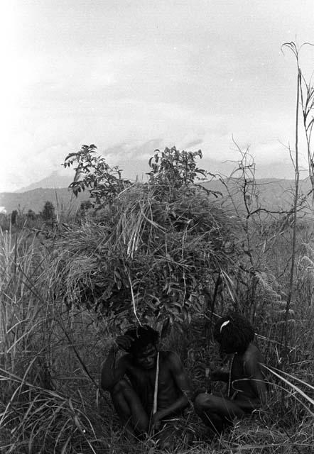 Samuel Putnam negatives, New Guinea; 2 warriors under a rain shelter on the Tokolik