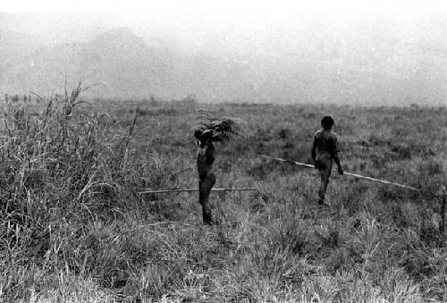 Samuel Putnam negatives, New Guinea; warriors holding things over their heads to keep off the rain