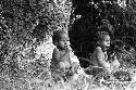 Samuel Putnam negatives, New Guinea; little boy near one of the large sien trees in Homoak; one of them yawns