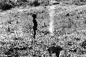 Samuel Putnam negatives, New Guinea; boy in the fields