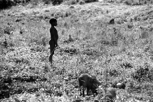 Samuel Putnam negatives, New Guinea; boy in the fields