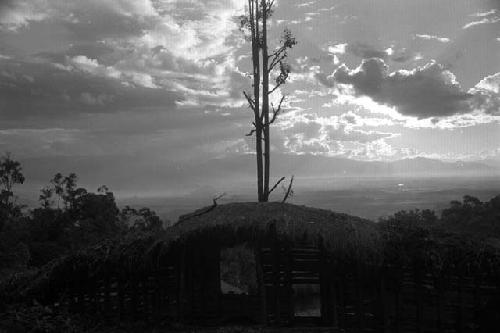 Samuel Putnam negatives, New Guinea; Lokoparek; out of sili door; large tree on the outside