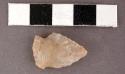 Chipped stone projectile point, side-notched bifurcate base