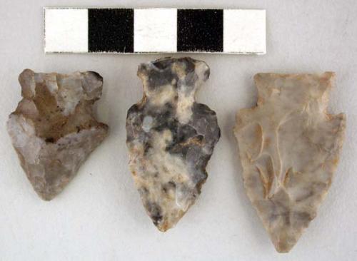 Chipped stone projectile points, 2 stemmed, and 1 side-notched