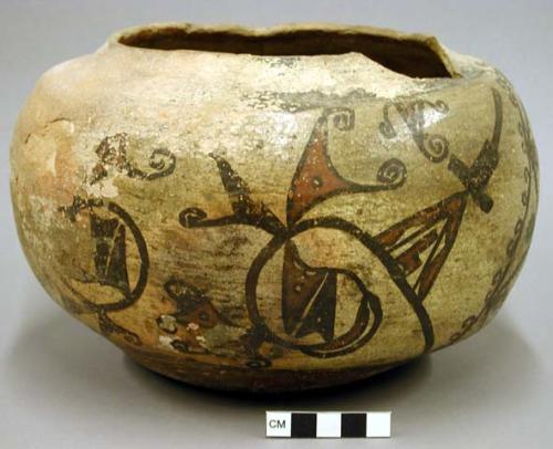 Jar, Polacca polychrome (early).  Linear design.