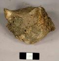 Faunal bone fragment, possible cow humorous or pelvis