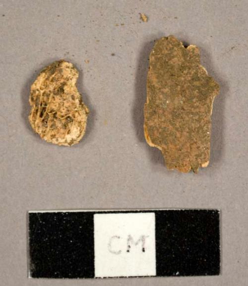 Faunal bone fragments