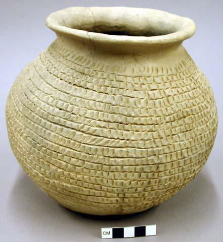 Polacca polychrome jar, Style D (reproduction of prehistoric ware)