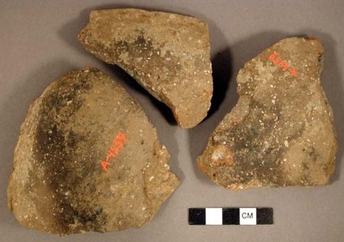 Ceramic, earthenware rim and body sherds, notched rim, undecorated body, shell-tempered