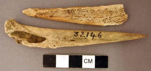 Organic, worked animal bone and bird bone awl fragments