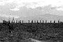 Samuel Putnam negatives, New Guinea; long line of people going down towards the Liberek