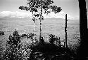 Samuel Putnam negatives, New Guinea; from the forest high on the hill behind Homoak out towards the west