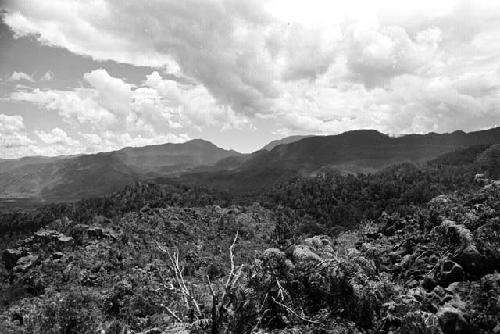 Samuel Putnam negatives, New Guinea; scenic shot