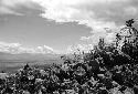 Samuel Putnam negatives, New Guinea; ridge of rocks and valley to the northwest