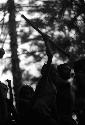 Samuel Putnam negatives, New Guinea; women near RG's tent doing Etai, Haniake and little girl in evening