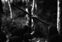 Samuel Putnam negatives, New Guinea; women near RG's tent doing Etai, Haniake and little girl in evening