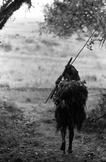 Samuel Putnam negatives, New Guinea; women walking near the entrance to the salt wells