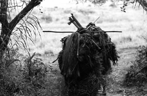 Samuel Putnam negatives, New Guinea; women walking near the entrance to the salt wells