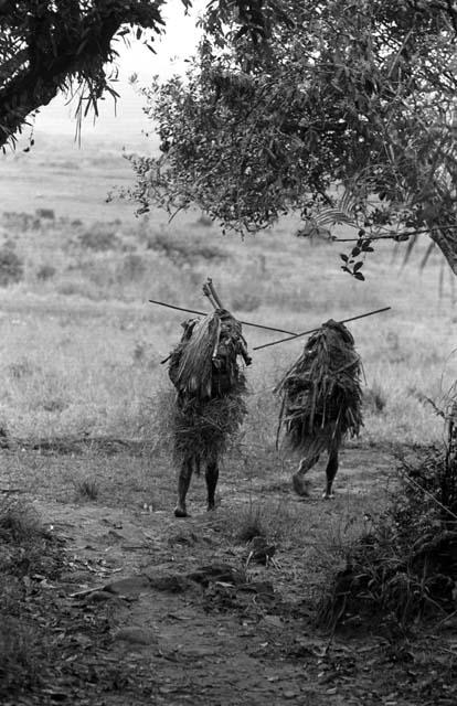 Samuel Putnam negatives, New Guinea; women walking near the entrance to the salt wells